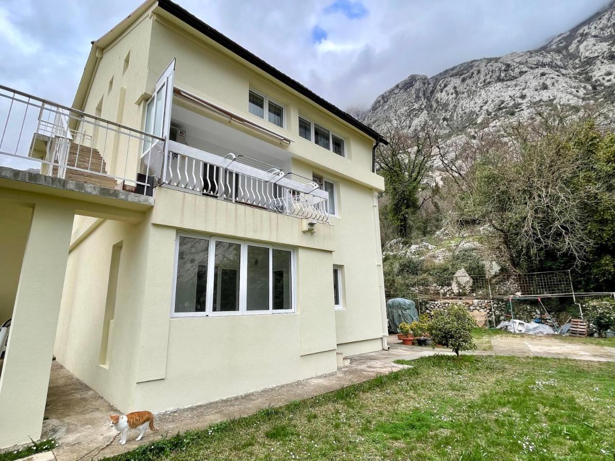 Apartments Lav Kotor Exteriör bild